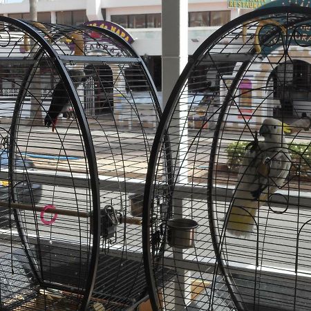 Kkaras Hotel Ayia Napa Bagian luar foto